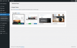 Page screenshot: Download &rarr; Download Themes