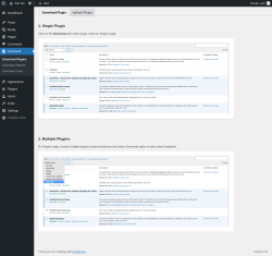 Page screenshot: Download Plugins &lsaquo; Test site &mdash; WordPress