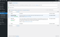 Page screenshot: Plugins &lsaquo; Test site &mdash; WordPress