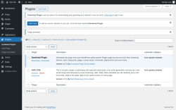 Page screenshot: Plugins &lsaquo; Test site &mdash; WordPress