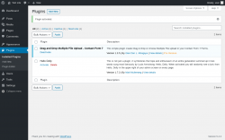 Page screenshot: Plugins &lsaquo; Test site &mdash; WordPress