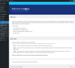 Page screenshot: Dropp Pay Per Use