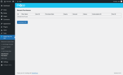 Page screenshot: Dropp Pay Per Use &rarr; View Recent Purchases