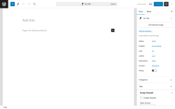 Page screenshot: Add New Post &lsaquo; Test site &mdash; WordPress