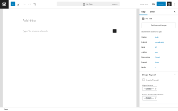 Page screenshot: Add New Page &lsaquo; Test site &mdash; WordPress