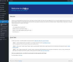 Page screenshot: Dropp Pay Per Use