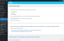 Page screenshot: Dropp Pay Per Use &rarr; 2. Create System pages