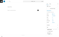 Page screenshot: Add Post &lsaquo; Test site &mdash; WordPress