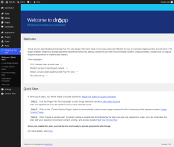Page screenshot: Dropp Pay Per Use