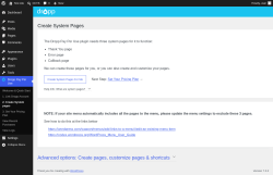 Page screenshot: Dropp Pay Per Use &rarr; 2. Create System pages