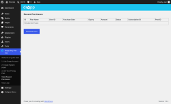Page screenshot: Dropp Pay Per Use &rarr; View Recent Purchases