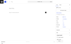 Page screenshot: Add Post &lsaquo; Test site &mdash; WordPress