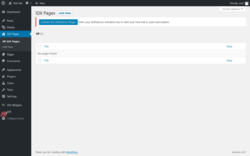 Page screenshot: IDX Pages