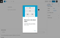 Page screenshot: IDX Pages → Add New