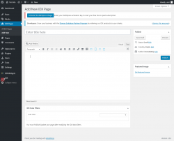 Page screenshot: IDX Pages → Add New