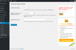 Page screenshot: Settings &rarr; Duplicate Page
