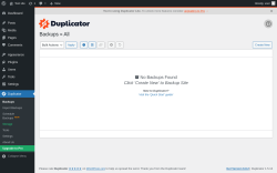 Page screenshot: Duplicator