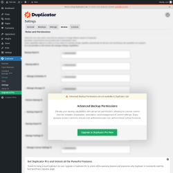 Page screenshot: Duplicator → Settings → 
            Access        