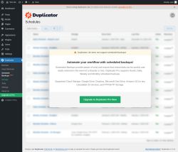 Page screenshot: Duplicator → Schedule Backups NEW!