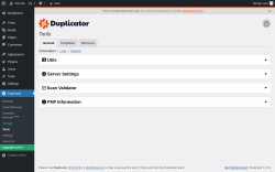 Page screenshot: Duplicator → Tools