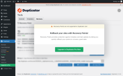Page screenshot: Duplicator → Tools →  Recovery