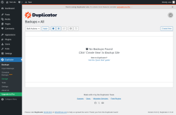 Page screenshot: Duplicator