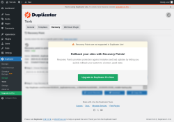 Page screenshot: Duplicator → Tools →  Recovery