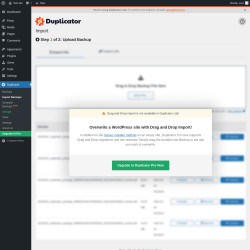 Page screenshot: Duplicator &rarr; Import Backups