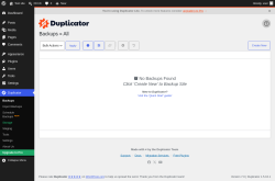Page screenshot: Duplicator