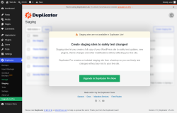 Page screenshot: Duplicator &rarr; Staging