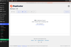 Page screenshot: Duplicator