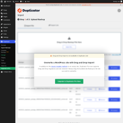 Page screenshot: Duplicator &rarr; Import Backups