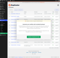 Page screenshot: Duplicator &rarr; Schedule Backups&nbsp;NEW!