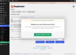Page screenshot: Duplicator &rarr; Tools &rarr;  Recovery