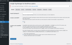 Page screenshot: Settings → Google Tag Manager