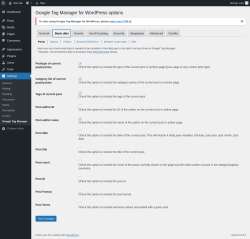 Page screenshot: Settings → Google Tag Manager → Basic data