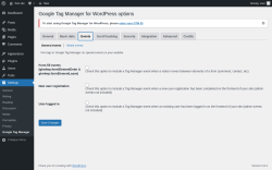 Page screenshot: Settings → Google Tag Manager → Events