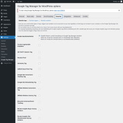 Page screenshot: Settings → Google Tag Manager → Security