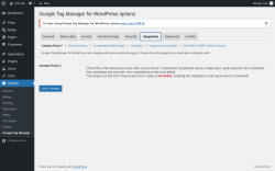 Page screenshot: Settings → Google Tag Manager → Integration