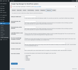 Page screenshot: Settings → Google Tag Manager → Advanced
