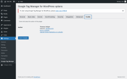 Page screenshot: Settings → Google Tag Manager → Credits