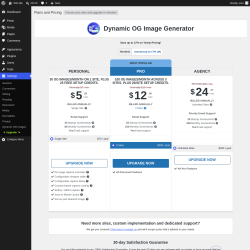 Page screenshot: Settings &rarr; Upgrade&nbsp;&nbsp;➤