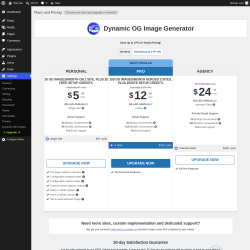 Page screenshot: Settings &rarr; Upgrade&nbsp;&nbsp;➤