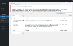 Page screenshot: Plugins &lsaquo; Test site &mdash; WordPress