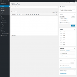 Page screenshot: Add New Post ‹ Test site — WordPress