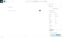 Page screenshot: Add New Post ‹ Test site — WordPress