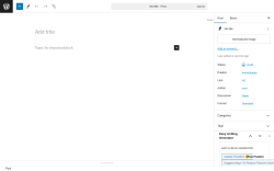 Page screenshot: Add New Post ‹ Test site — WordPress