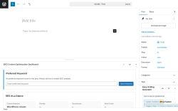 Page screenshot: Add Post ‹ Test site — WordPress