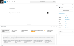 Page screenshot: Add New Post ‹ Test site — WordPress