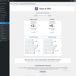 Page screenshot: Settings → Upgrade  ➤